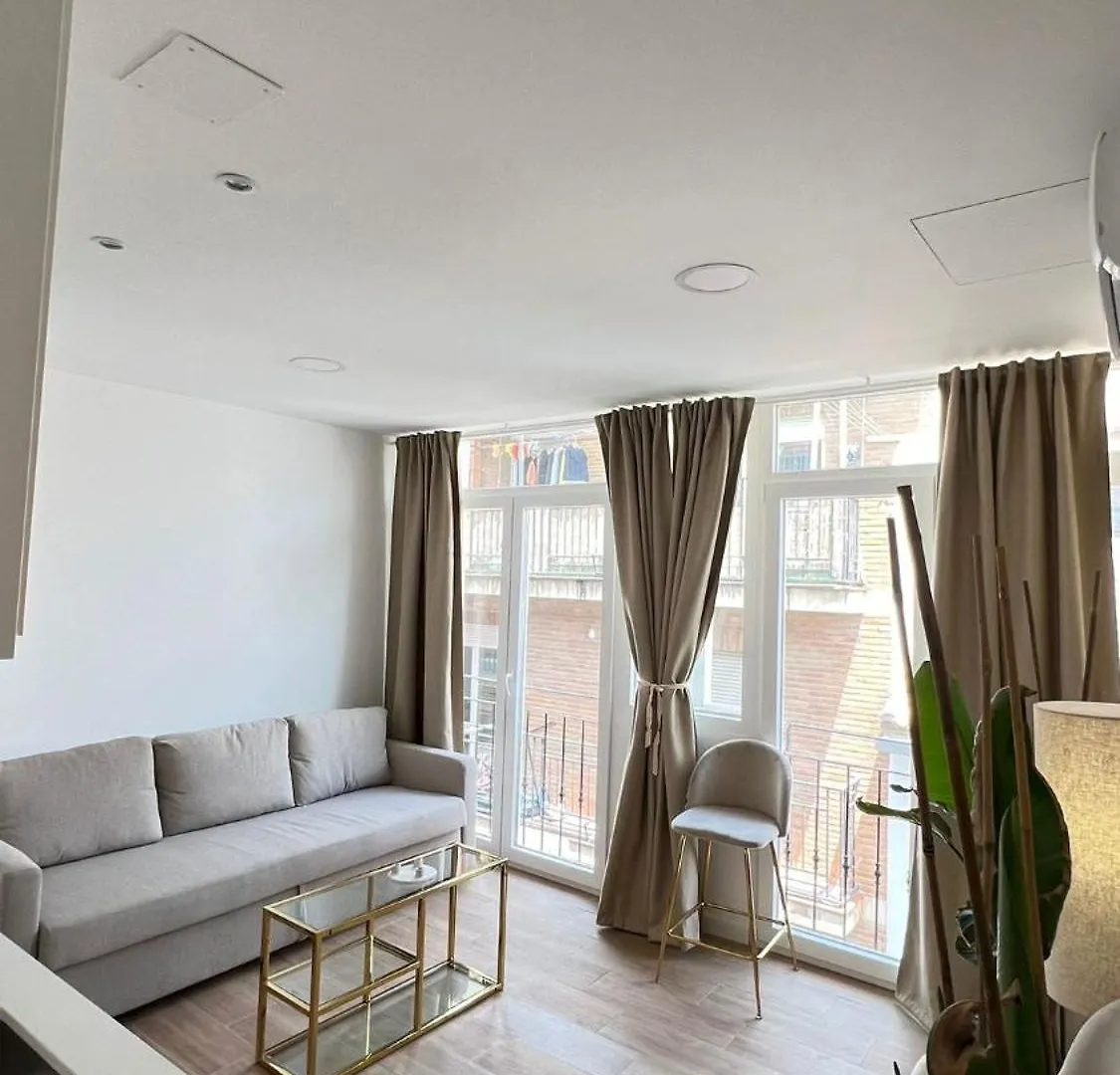 Appartement Hermosos Apartamentos En Pleno Centro Grenade