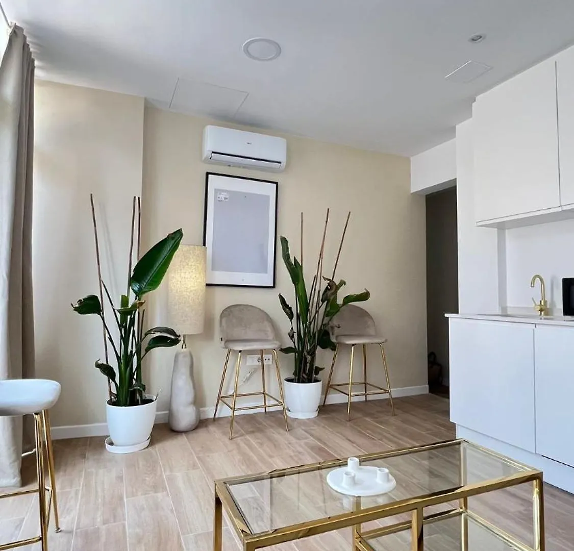 Appartement Hermosos Apartamentos En Pleno Centro Grenade Espagne